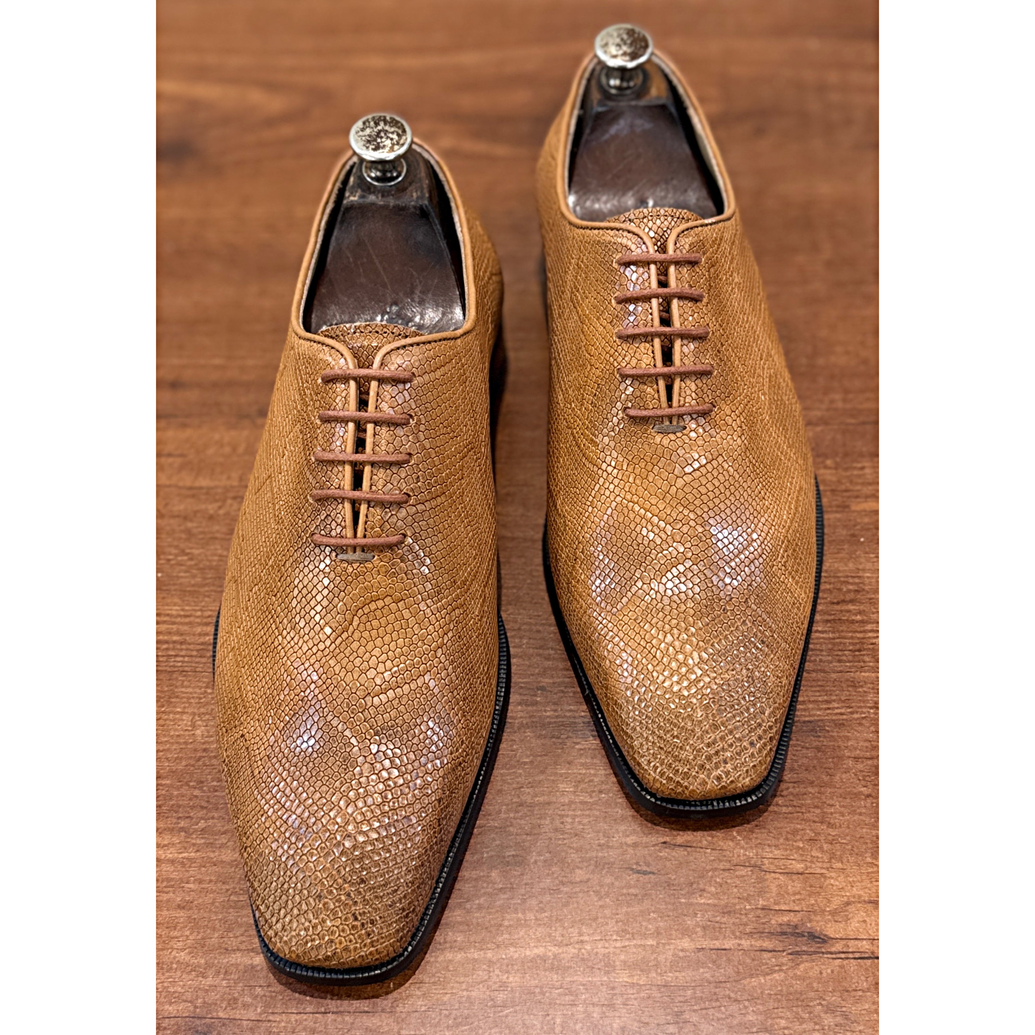 Sahara Lizard Texture Oxford Shoes