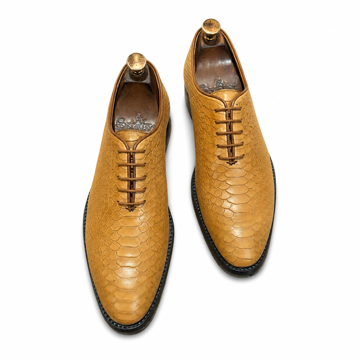The Sahara Serpente Oxford