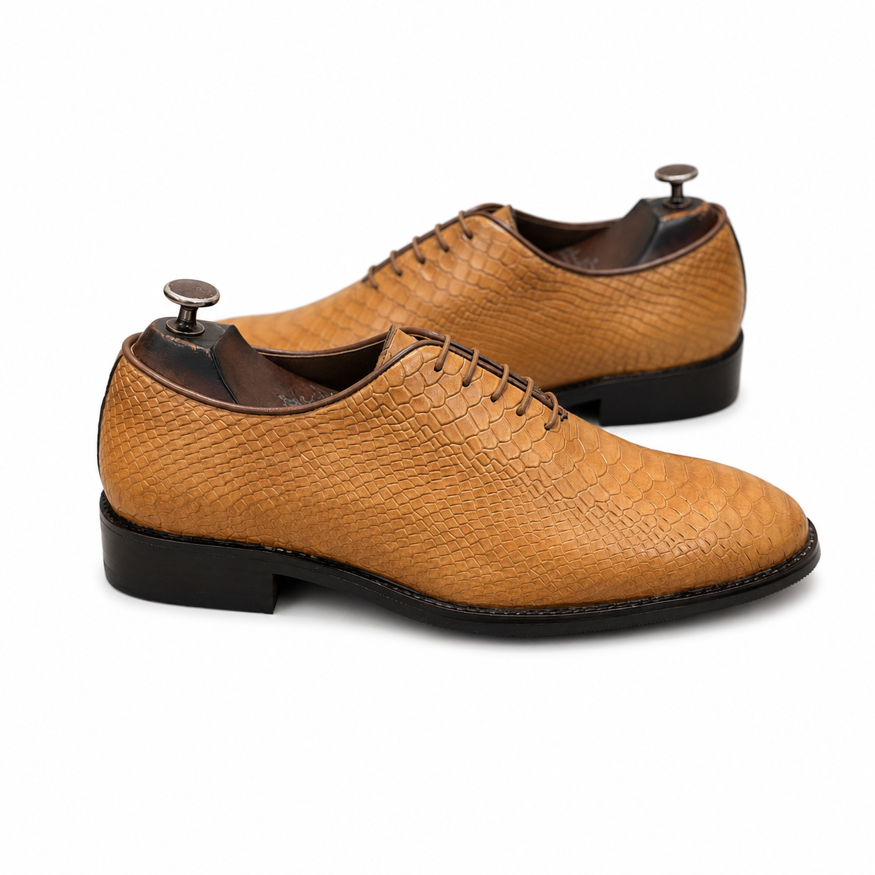 The Sahara Serpente Oxford