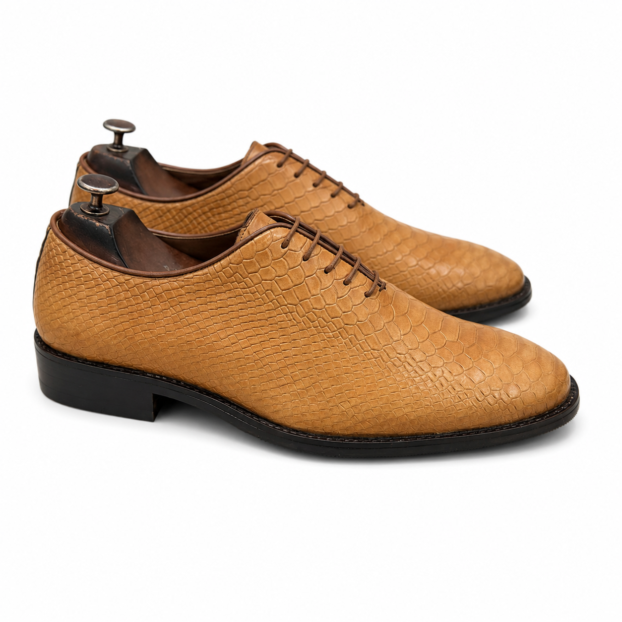 The Sahara Serpente Oxford