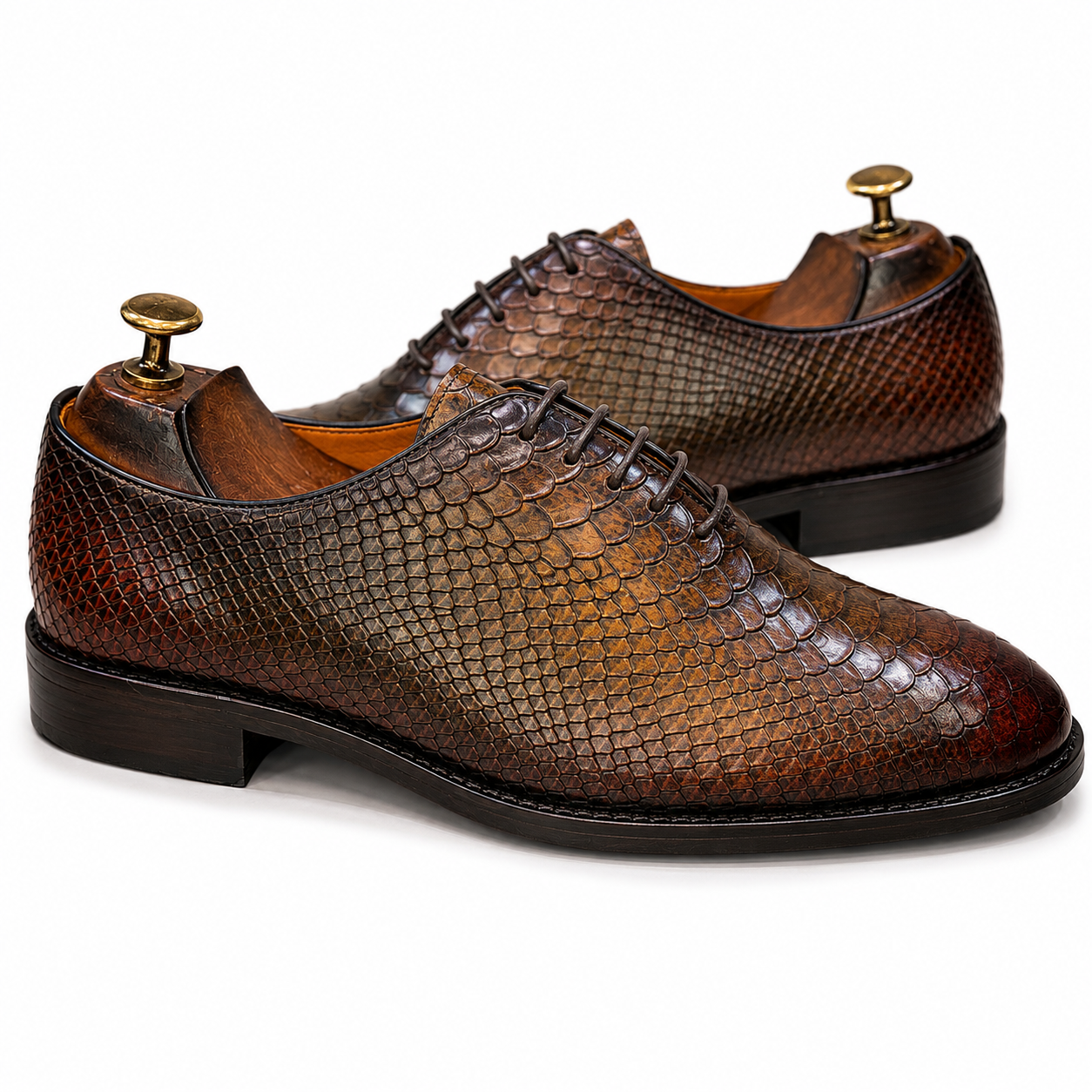 Aurelius Brown Embossed Oxford