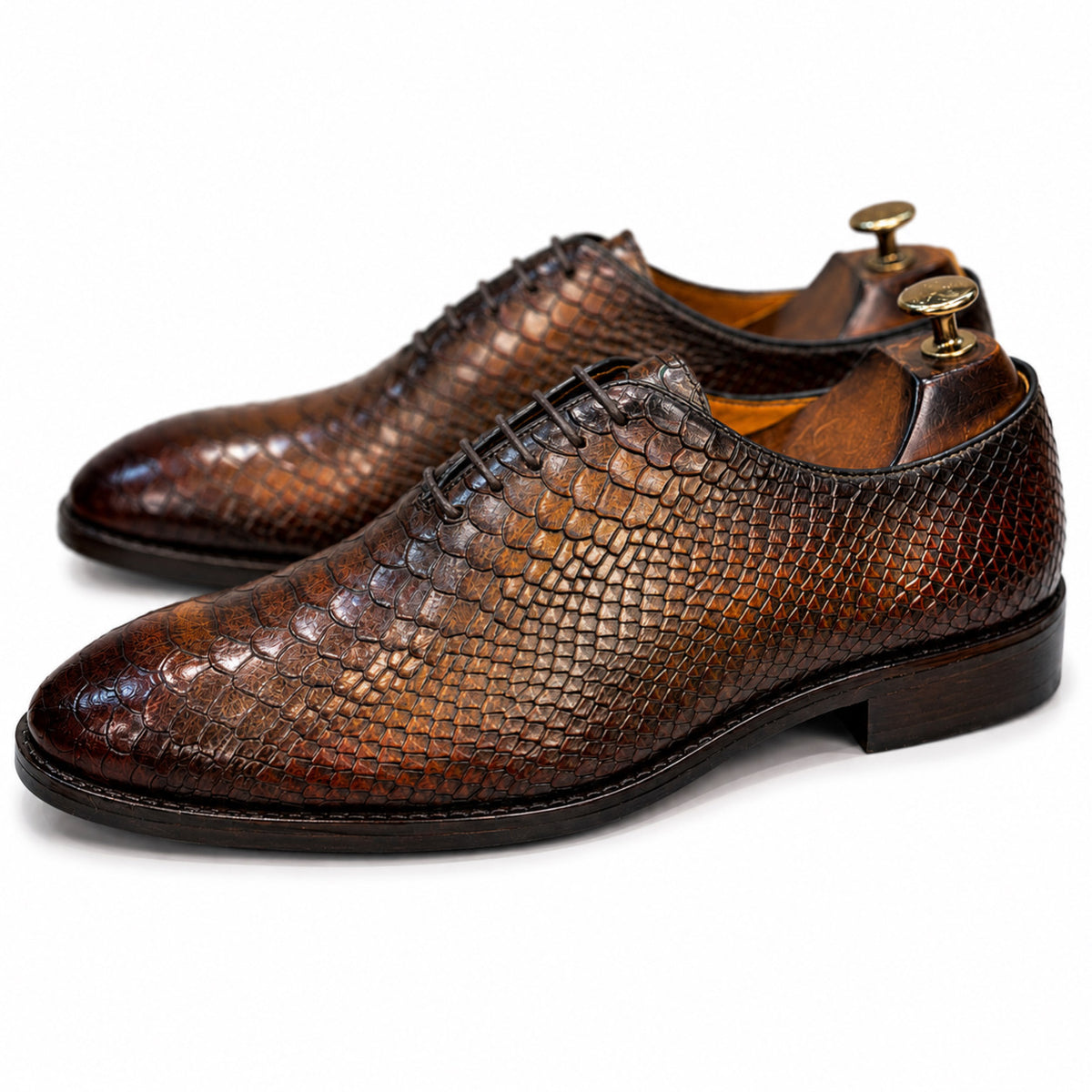 Aurelius Brown Embossed Oxford