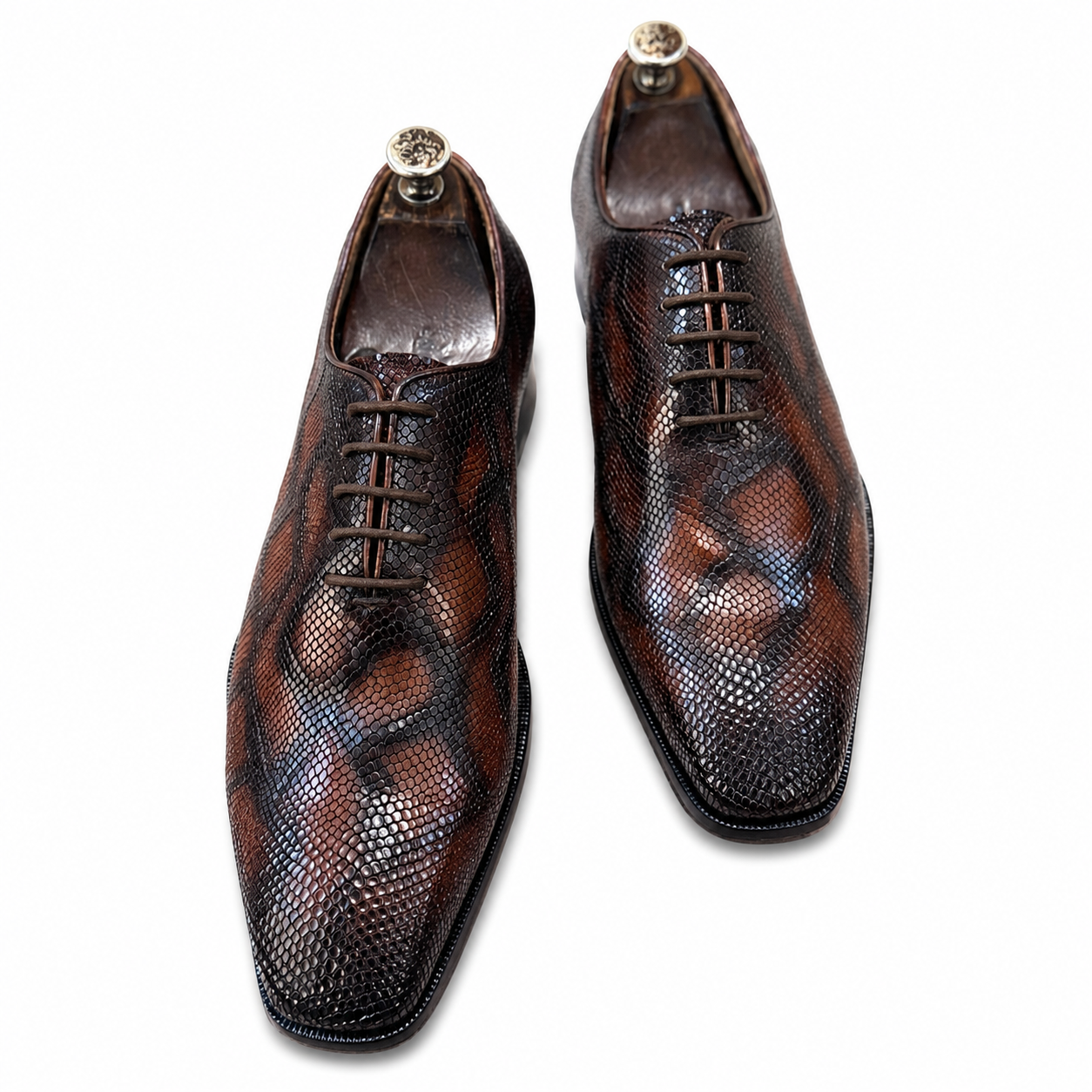 Monte Carlo Lizard Oxfords – Marrone Espresso