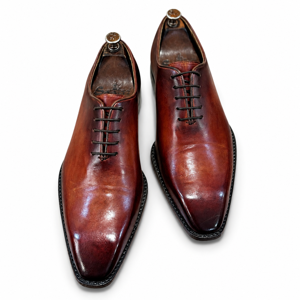 The Firenze Wholecut Oxford