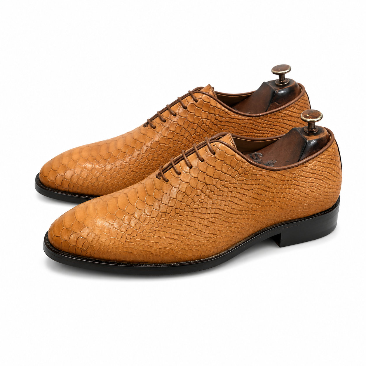 The Sahara Serpente Oxford