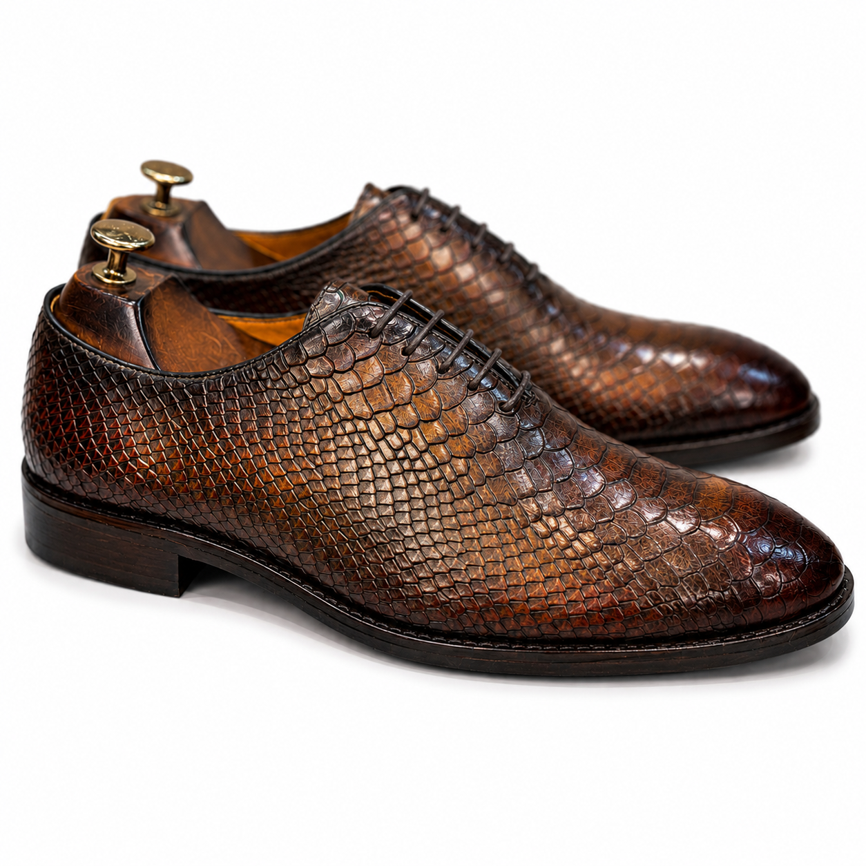 Aurelius Brown Embossed Oxford