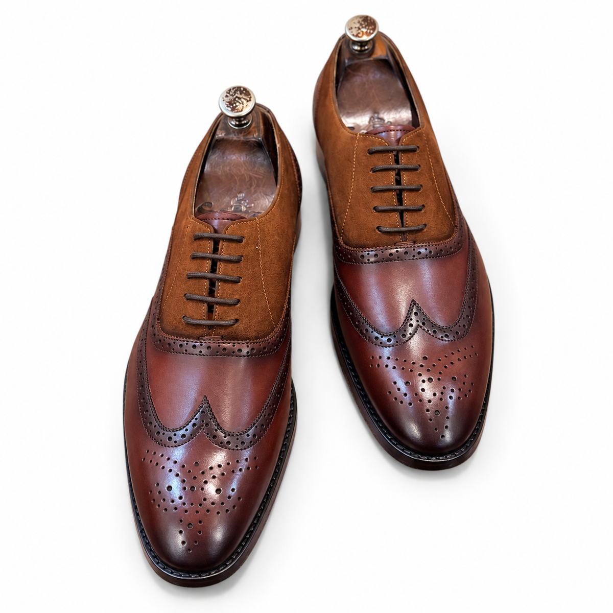 Havana Two-Tone Wingtip Oxfords